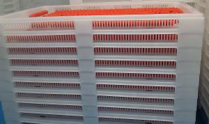 China White Food Grade Stackable Plastic Trays / Cooling Tray 762*495*55mm wholesale