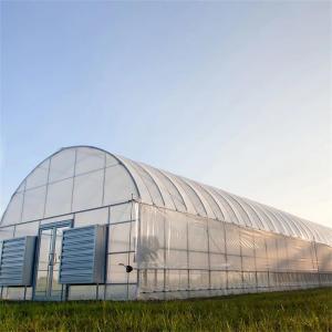 Polytunnel Plastic Film Greenhouse For Growing Strawberry Vegetables Flowers Fruits