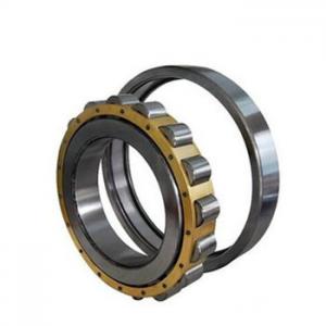 China 25X62X24mm NUP2305E Diamond Detector Roller Bearing wholesale