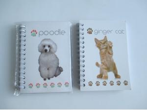 China Good quality competitive price hardcover offset printing wholesale school notebook wholesale