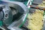 Fully Automatic French Fries & Potato Chips Production Line | High-Efficiency