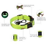 2019 New Pet Product household Nylon Led USB Rechargeable Pet Dog Glowing