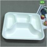 Biodegradable Sugarcane Pulp 3-Compartment Food Box-High Quality Plant Fiber