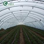 Customizable Size High Tunnel Agricultural Single-span Plastic Film Greenhouse