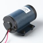 FLOWDRIVER DC brush motor LC-ZYT-78A 200W