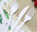 CPLA Disposable Paper Packaging Accessories Cutlery Sets 6.5-7 Inches 4-4.5gr