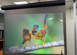 China Touch Window Advertising Screen Rear Projection Screen Film Transparent wholesale