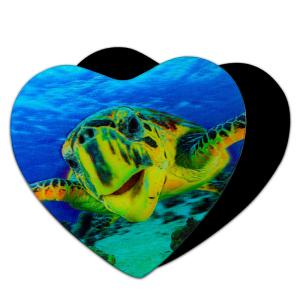 China 3D Magnets Sealifes Dolphin Shark Turtle Lenticular Printing Card For Gifts wholesale