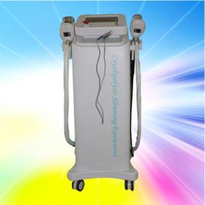 China Pulse Cryolipolysis Slimming Machine / Beauty Slimming Machine For Home Use wholesale