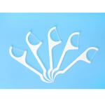disposable hotel travel home use tooth cleaning Dental Floss Toothpick Teeth