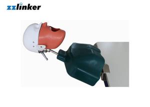 China Dental Study Model Dental Manikin Phantom Head withTorso for Dental practice wholesale