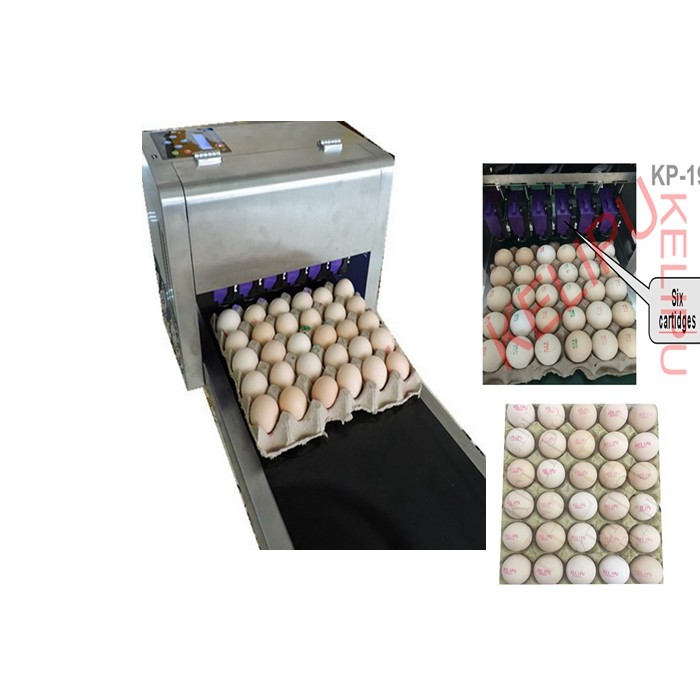 Whole Plate Egg Inkjet Marking Machine With Thermal Foam Type Multiple Nozzle