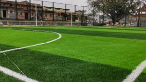 China China Manufactured M Shape Artificial Football Turfs With Multiple Price Options wholesale