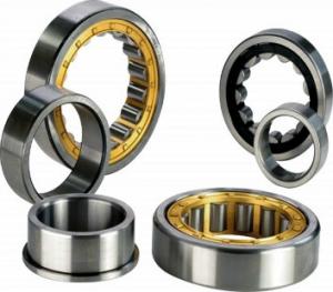 China NU 2232 ECML;NJ 2232 ECML Cylindrical Roller Bearings Use For Vibrating Screen Grain Sorting Machines wholesale