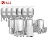3000 L Craft Beer Brewing Equipment With Brushed Stainless Steel Surface