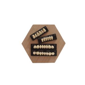 China High Strength Dental Acrylic Resin Teeth Compatible With VITA System wholesale