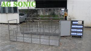 China Marine Turbine Ultrasonic Cleaning System Large Ultrasonic Tank Volume 28 / 40KHz wholesale