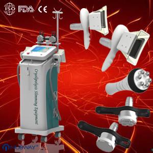 China Professional Cryolipolysis Slimming Machine For Fat Reduction And Removing wholesale