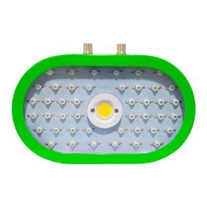 China Green Frame LED Plant Grow Light For Vegetable And Flower 250*150*50mm wholesale