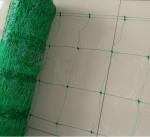 Green Plant Support Net / Agriculture Net Hdpe With Uv , 15x17cm Mesh