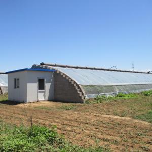 China Tomato Passive Solar Greenhouse With Electric Roll Up Ventilation wholesale