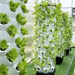 65L 14 Layer 112 Plant Holes Customize The Layer Number Hydroponic Growing