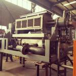 Corrugated Carton Paper Egg Tray Machine CE Approval 300kg/H Paper Consumption