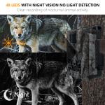 Cost Effective Hunting Camera KW561with Mini Size 30MP/1080P Waterproof IP67 up
