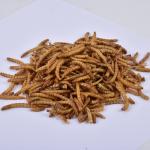 Delicious Dried Mealworms From Dry And Cool Place Storage Made With Mealworms