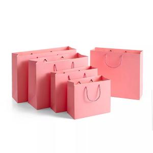 China ISO Offset Printing Clothing Paper Bags Underwear Cinnamon Pink Paper Bag on sale