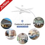 48in 230V 5 ABS Blades Decorative Ceiling Fans With Lights