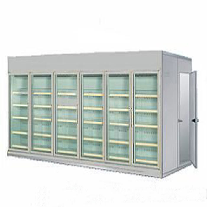 6 Glass Door Supermarket 220V Walk In Cooler Freezer