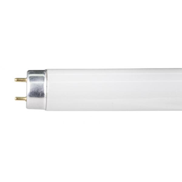 Office Lighting Fixture Surface Mounted Fluorescent Suspended Ceiling Light 2x54w
