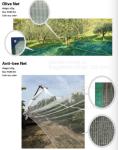 Weed Control Mulch Film, Agriculture Vegetable Black PE Films, 5 Holes