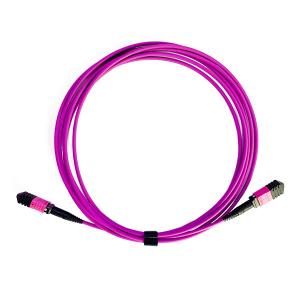 China 24 Fiber MPO Patch Cable Multimode High Tensile Strength Violet Cable Color wholesale