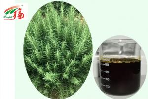 China 5% - 25% Carnosic Acid Rosemary Oleoresin Extract As Food Antioxidant wholesale