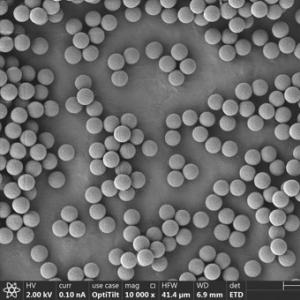 China Immunodiagnosis Polymer Carboxyl Magbeads 2.8μm 10 mg / mL 5 mL wholesale