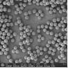 Buy cheap Immunodiagnosis Polymer Carboxyl Magbeads 2.8μm 10 mg / mL 5 mL from wholesalers