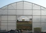 Spacious Single Span Greenhouse With 3.5-6m Height Anti Drip Film For Diverse