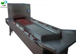 China semi-auto green plum/cherry pitting machine fruits seeds removing machine on sale