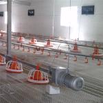 1g-99g Poultry Feeding Equipment Automatic Poultry Feeder System