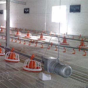 China AC110V 220V Automatic Poultry Feeder System Auto Chicken Feeder wholesale