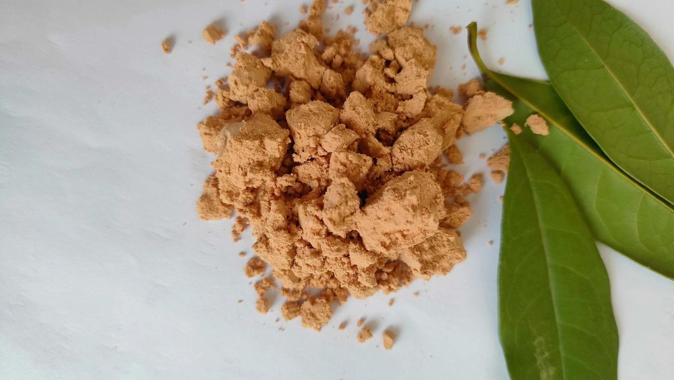 Low Ash 13% Plasma Protein Powder Poultry Feed Powder Canary Yellow