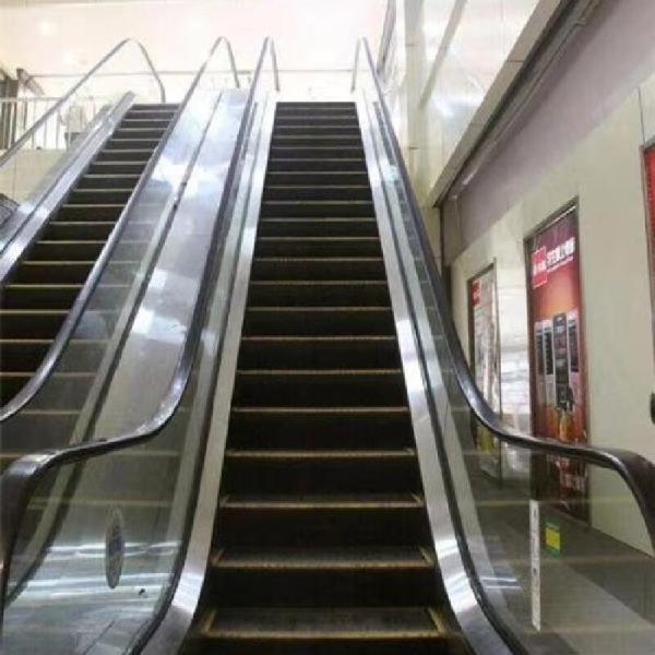 Gen2 Life Escalator Low Noise Customizable Stainless Steel Design Options With