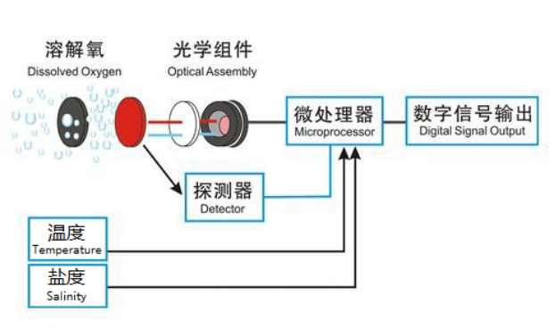 Accurate And KWS-650C Online Dissolved Oxygen Sensor With Fluorescence Method , Resolution 0.01mg/L, 0.1℃