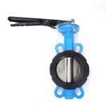 Di/Nylon/1.4469/1.4529//2507/CF8/CF8m Disc Material Wafer Lug Butterfly Valve