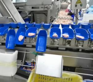 China Safety Circular Multi Head Weight Sorting Machine For Sea Food 300 Times / Min wholesale