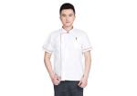 Embroidery Logo Restaurant Work Shirts Cotton Anti - Wrinkle With Stand Collar