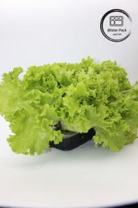 China Artificial Garden Vegetables and Fruits Plastic Seedling Trays Perfect for Decoration wholesale