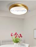 Corridor Lighting LED Lamp Round Shape Four Color Ceiling Lamps 36W